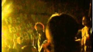 Manolo kabezabolo - "kamino del bar"