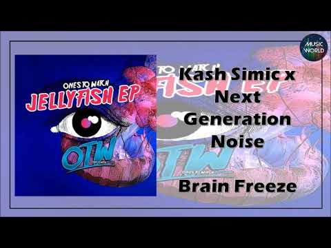 Kash Simic x Next Generation Noise - Brain Freeze