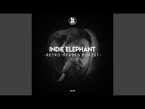 Indie Elephant video