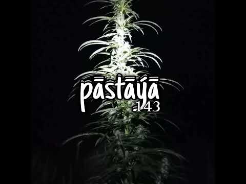 Remix Niska ft Tiakola ✡️⚡️