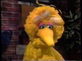 Sesame Street 3741 Frazzle Sleeps Over At Big Bird S