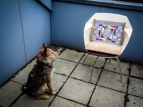 Tipps für schärfere Fotos