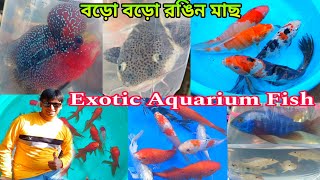 শ্রীরামপুরে শখের হাট | Aquarium Fish Serampore Haat | Shrirampur Pet Market | Fish Shop Market 