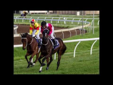 WA Sires Produce & WATC Derby Day at Ascot