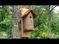 Homemade Bird Houses from a Natural Log (DIY Nesting Bird Box)