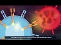 CAR T-Cell Therapy: How Does It Work?