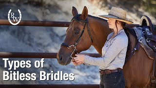 Types Bitless Sidepulls, Hackamores, and Bosals