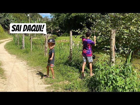 ENCONTREI O MINI INSCRITO R0UBAND0 GOIABA DO VIZINHO (ELE ME JOGOU GOIABA PODRE).