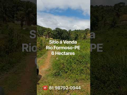 Sítio á Venda Zona Rural de Rio Formoso-PE  6 Hectares R$ 180 Mil