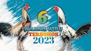 Download lagu THESE ARE THE MOST POPULAR COLORS OF STARLING FEATHERS mp3