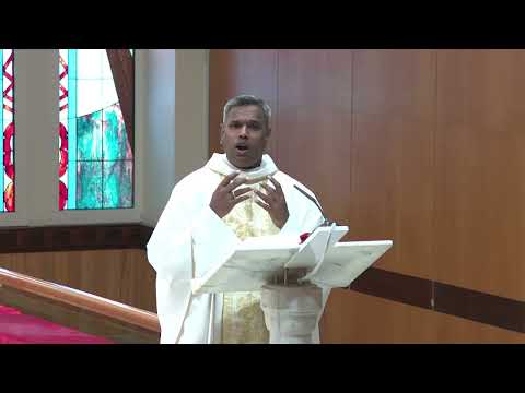 5th Day in the Octave of Christmas. Homily by Fr. Roy Clarence NAYAGAM