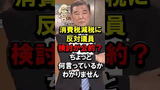 消費税減税に反対議員、検討が公約？ちょっと、何言っているかわかりません #自民党 #高市総理 #小野寺 #石破 #村上