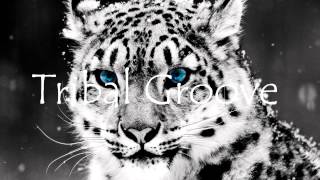 Jay Solstice - Tribal Groove