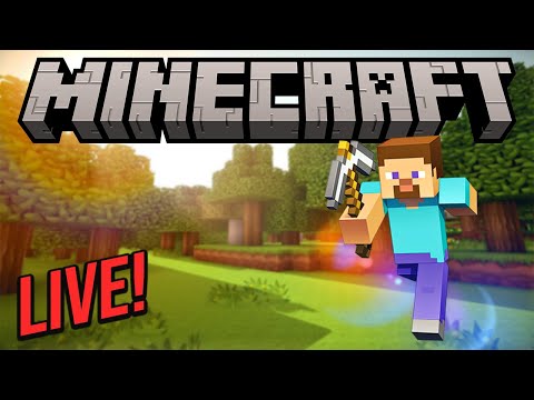EPIC Minecraft Adventure LIVE with 2ToneDavidToo