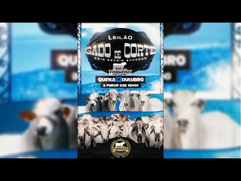 LEILÃO GADO DE CORTE FORMOSO LEILÕES - FORMOSO - GO - 23/10/2025
