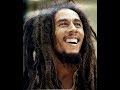 Bob Marley Do it twice