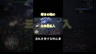 【MHWIB】配信切り抜き　導きの地でモンスター達からの洗礼を受けるもの