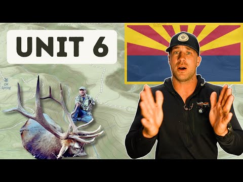 Arizona Elk Hunting Unit 6: 6A & 6B Draw Odds, Best Hunt Spots, and Proven Strategies (2025)