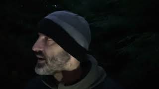 The Woodland Chronicles – Week 43 – From Darkness to Light.