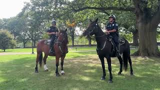 The mounted police unit of Waterbury is the last in Connecticut