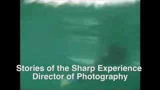 Bruce Ando Cinematography reel