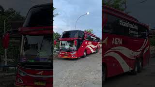 Download lagu Bus Agra mas tronton full strobo #shortvideo #shorts #bus #busmania #agramas mp3