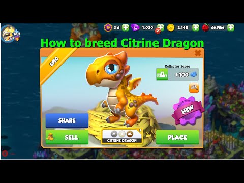 How to Breed Citrine Dragon-Dragon Mania Legends | Hatched Stump Dragon | DML