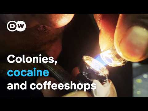 Europe's Drug Mafia (1/2) -How Drugs Made The Netherlands Rich | Dw Documentary