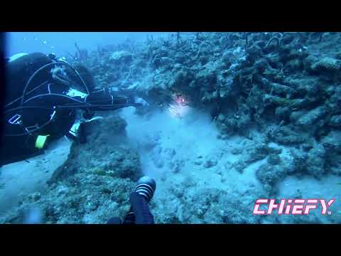 Emily Spears Lionfish-Underwater hunting