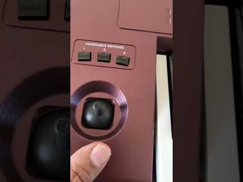 Korg PA 1000 professional Arrangers 61 key.