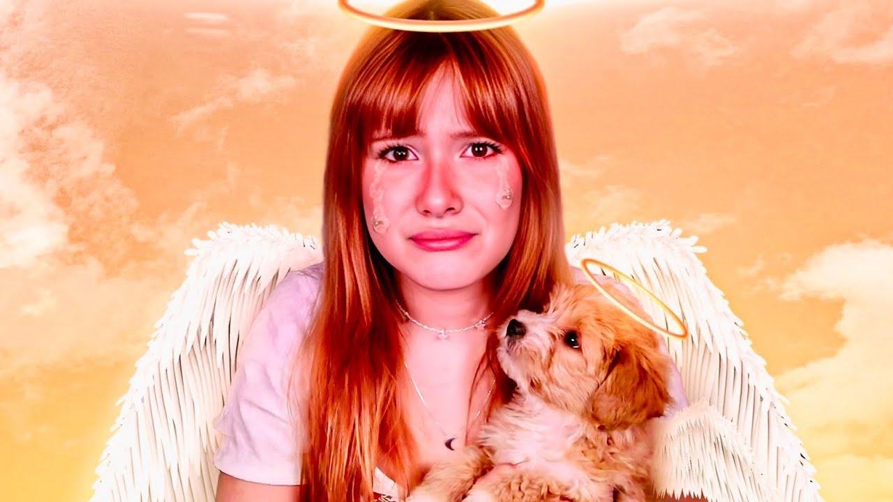 ENCONTREI O LUGAR QUE OS CACHORROS VÃO QUANDO MORREM