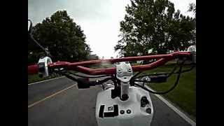 slightly modded 2012 Honda Ruckus