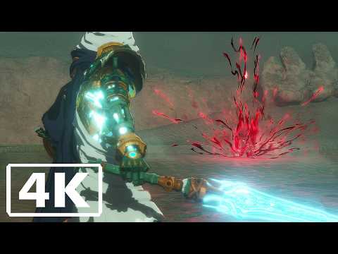 Hyrule Warriors: Age of Imprisonment - The Crimson Omen Boss Fight (4K)
