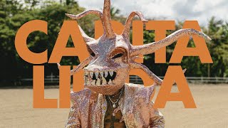 Songtext von Rauw Alejandro - Carita Linda Text Musik-video-Miniaturansicht