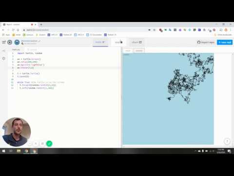 Random Turtle Example
