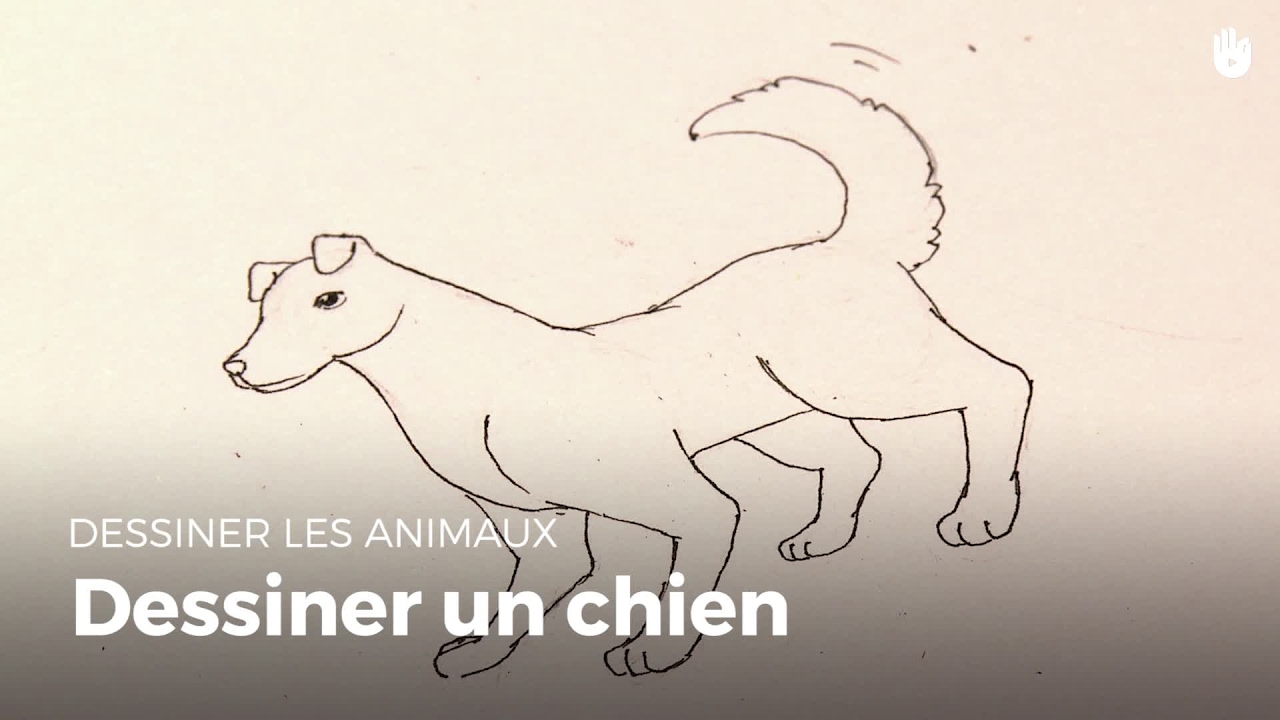 Dessiner Un Chien