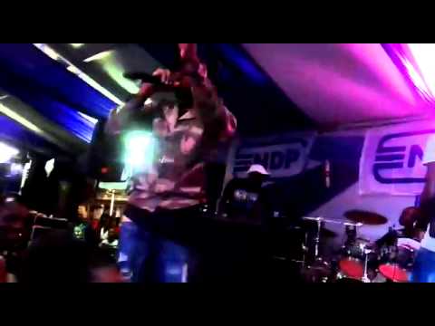 Little loba live 2015