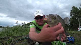 Laukinėje baloje su metodu