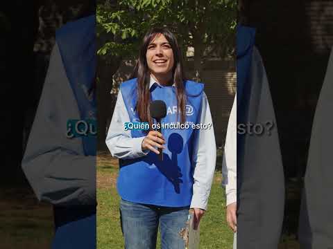 Recogida Primavera 2026 | Los pequeños gestos marcan la diferencia