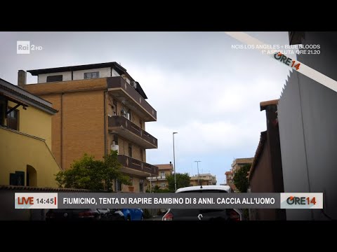 Fiumicino, tenta di rapire un bambino di 8 anni. Caccia all'uomo  - Ore 14 del 24/04/2023