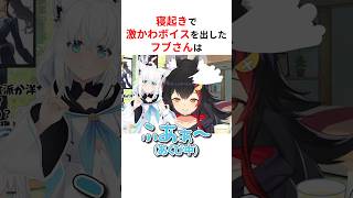 寝起きで有料級の激かわボイスを披露した白上フブキ他 #shorts #ホロライブ切り抜き 【 #白上フブキ #星街すいせい #さくらみこ #大空スバル 】