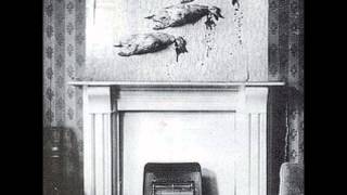 Silver Jews_famous eyes