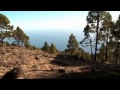 BMC TRAILFOX The Ultimate Trail Riding Divx