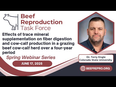 Trace minerals, fiber digestion, and cow-calf - Dr. Terry Engle - BRTF Spring Webinar Series