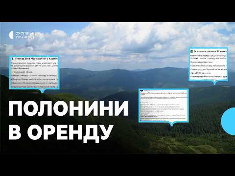 На карпатском Свидовце 850 га земли отдают в аренду и на продажу