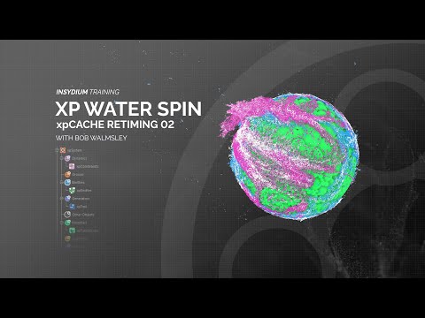 INSYDIUM Training - xpCache Retiming 02