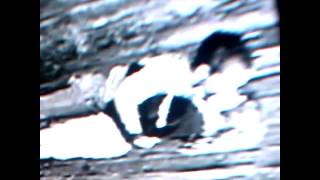 Lite av Håkan Hellströms låt &quot;det kommer aldrig va