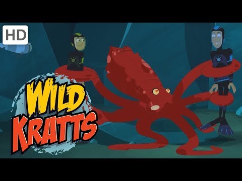 Wild Kratts - Dangerous Underwater Creatures 🦈🐙 | Kids Videos