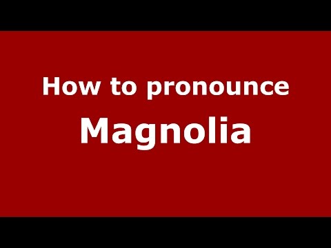 How to pronounce Magnolia