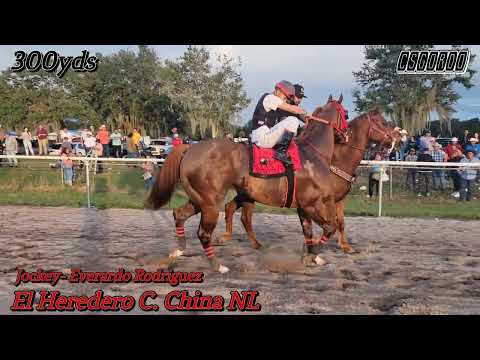 El Heredero ( Cuadra China Nuevo Leon) vs tapado ( Cuadra los Primos)